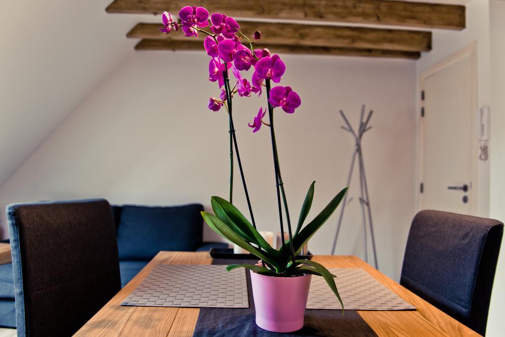 Appartement Appart-hotel Léopold Centre Liège
